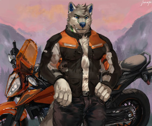 anthro belt blue_eyes blue_nose bottomwear clothing countershading fur gear grey_body grey_fur hands_on_hips jacket jacket_vest male motorcycle mountain muscular muscular_anthro muscular_male pants solo topwear tuft vehicle vest juiceps ktm cerolobo_(character) canid canine canis mammal wolf digital_media_(artwork) hi_res shaded