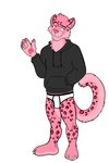 anthro black_clothing black_hoodie black_topwear briefs bulge clothing drawyourfursona fur hoodie hoodie/briefs_meme male pink_body pink_fur simple_background solo standing topwear underwear white_clothing white_underwear mapdark meme_clothing hugo_(mapdark) felid leopard mammal pantherine 2:3 hi_res meme