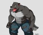 abs anthro biceps black_nose clothing fur male muscular muscular_anthro muscular_male pecs solo cheotdo mythology canid canine canis mammal mythological_canine mythological_creature werecanid werecanine werecreature werewolf wolf 2019 absurd_res digital_media_(artwork) hi_res