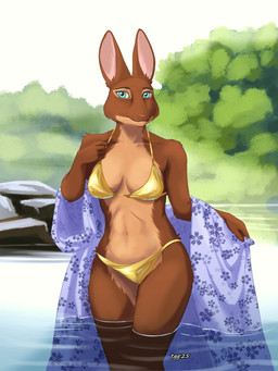 anthro bikini clothing ears_up female fur gold_bikini green_eyes multicolored_body multicolored_fur nipple_outline outside partially_submerged river smile solo swimwear two-piece_swimsuit tggeko golden_week shannon_baker lagomorph leporid mammal rabbit 2025 3:4 hi_res