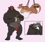 ankles_tied anthro anthro_on_anthro areola ball_gag balls barbell_piercing bathroom_control bdsm beard beer_mug belly biped bodily_fluids bound brown_body brown_fur bulge catheter catheter_in_urethra chastity_cage chastity_cage_only chastity_device chastity_device_only clothed clothed/nude clothed_male clothing container cup drinking drinking_urine duo eyebrows eyes_closed facial_hair fur gag gagged genital_fluids genitals hat headgear headwear holding_object humanoid_genitalia humanoid_penis jockstrap male male/male medical_instrument metal_chastity_cage mug nipple_barbell nipple_piercing nipples nude overweight overweight_anthro overweight_male peeing penis piercing scientific_instrument smile suspended_in_midair tan_body tan_fur text underwear urine urine_in_cup urine_in_mouth watersports wrists_tied valbits liam_(runneroo) milo_(runneroo) bear kangaroo macropod mammal marsupial 2023 digital_media_(artwork) english_text hi_res