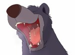 anthro baloo bear bodily_fluids close-up drooling eyes_closed hi_res jepjepjap185 male mammal open_mouth saliva simple_background sloth_bear smile solo teeth the_jungle_book throat tongue ursine white_background