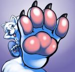 anthro black_nose blue_eyes bottomwear chest_tuft claws clothed clothing feet foot_focus fur hands_behind_head male pants pawpads paws plantigrade solo toe_claws tongue tongue_out topless tuft white_body white_fur c0nnerc00n artie canid canine mammal 2015 hi_res