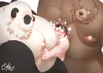 anthro belly between_bellies big_belly brown_body brown_fur duo eyewear fur glasses group male male/male moobs multicolored_body multicolored_fur nipples nude overweight size_difference smile tongue tongue_out trio kayashima_soru mihoyo zenless_zone_zero ben_bigger pan_yin_hu bear giant_panda human mammal 2025 hi_res