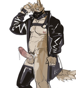 abs accessory anthro balls brown_body clothed clothing cock_ring cuff_(restraint) cum_dripping_from_penis erection foreskin gag genitals harness humanoid_genitalia humanoid_penis jacket jewelry legwear male mask muzzle_(object) muzzle_gag muzzled open_clothing open_jacket open_topwear penis penis_accessory penis_jewelry restraints retracted_foreskin simple_background solo standing stockings three-quarter_view topwear maiyabuhantang canid canine canis domestic_dog mammal colored_sketch hi_res sketch