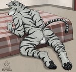 anthro balls bed butt claws exhibitionism fangs furniture genitals half_on_bed looking_at_viewer looking_back looking_back_at_viewer male nude pawpads paws pose presenting presenting_hindquarters raised_tail seductive slightly_muscular solo stripes tail teasing teeth elbestia herzog_silverfang felid mammal pantherine tiger hi_res