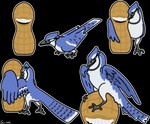 ambiguous_gender avian_feet beak blue_body blue_feathers feathers food fruit hug legume multiple_poses peanut_(food) plant pose sitting_on_another smile smiling_at_viewer solo teeth white_body white_feathers wings sner avian bird blue_jay corvid jay_(bird) new_world_jay oscine passerine absurd_res hi_res sequence female_(lore)