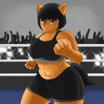 anthro black_hair blue_eyes bottomwear bra clothing female fighting_ring fur hair muscular muscular_female orange_body orange_fur shorts solo sports_bra underwear arisenleaf fluffy_pony cloe_(arisenleaf) fluffy_pony_(species) mammal 1:1 hi_res