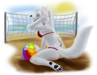 anthro ball beach beach_ball beach_volleyball bikini black_nose blue_eyes clothed clothing female fur hair inflatable net open_mouth outside pointy_ears pool_toy prick_ears sand seaside skimpy solo sun swimwear tight_clothing two-piece_swimsuit volleyball_(ball) volleyball_net white_body white_fur white_hair temrin cleo_(yutrah) canid canine canis domestic_dog mammal 2011 digital_media_(artwork)