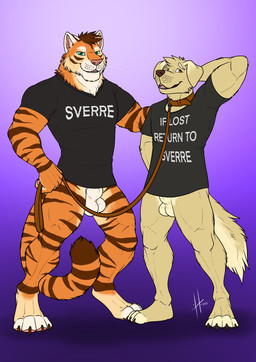animal_genitalia anthro balls black_clothing black_pawpads black_shirt black_t-shirt black_topwear bottomless bottomless_male brown_collar brown_eyes brown_leash claws clothed clothing collar duo front_view fully_sheathed fur genitals glistening glistening_eyes gradient_background green_eyes holding_leash holding_object leash looking_at_viewer looking_up male male_anthro markings muscular muscular_anthro muscular_male orange_body orange_fur pawpads pink_pawpads sheath shirt simple_background smile standing striped_arms striped_legs striped_markings striped_tail stripes t-shirt tail tail_markings tan_balls tan_body tan_fur tan_sheath text toe_claws topwear white_balls white_body white_fur white_sheath hufnaar charlie_(eternalwolf5) sverre_(tigerlover1) canid canine canis domestic_dog felid hybrid mammal pantherine tiger 2021 absurd_res dated english_text hi_res