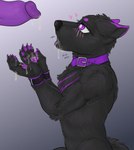 anthro black_body black_fur bodily_fluids collar cuff_(restraint) cum cum_in_mouth cum_inside cum_on_hand ejaculation fur genital_fluids genitals hands-free male male/male pawpads penis purple_pawpads purple_penis restraints epistaxiophilia wuffywufferson canid canine canis mammal wolf hi_res