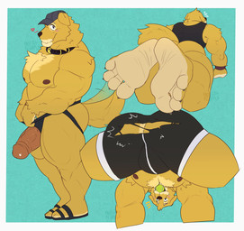 anthro ball baseball_cap bent_over big_penis body_hair boxer_briefs bulge chest_hair claws clock clothing collar facial_hair feet flip_flops foot_fetish foot_focus footwear genitals hat headgear headwear heart_symbol humanoid_feet jockstrap male muscular muscular_anthro muscular_male nipples penis plantigrade sandals shoes simple_background solo standing tail tail_motion tailwag tennis_ball tennis_ball_in_mouth thick_penis torn_clothing torn_underwear underwear watch flufflecraft frankie_(flufflecraft) bird_dog canid canine canis domestic_dog golden_retriever hunting_dog mammal retriever absurd_res hi_res
