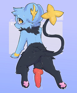animal_genitalia animal_penis anus balls black_body black_fur blue_body blue_fur butt canine_genitalia canine_penis erection fangs feral fur genitals knot knotted_penis looking_at_viewer male paws penis rear_view simple_background solo tail teeth gabileafy nintendo pokemon generation_4_pokemon pokemon_(species) shinx digital_media_(artwork) hi_res