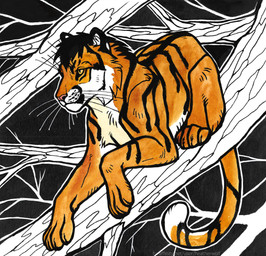 ambiguous_feral ambiguous_gender black_hair cheek_tuft facial_tuft feral fur hair in_tree markings mouth_closed orange_body orange_fur pink_nose plant short_hair solo striped_back striped_legs striped_markings striped_tail stripes tail tail_markings tree tuft whiskers white_body white_fur yellow_eyes heatherwolf felid mammal pantherine tiger