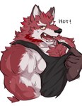 anthro bodily_fluids body_hair chest_hair chest_tuft fur male muscular muscular_anthro muscular_male pecs red_body red_fur solo sweat teacher tuft aidemcc knights_college diederich_olsen canid canine mammal hi_res