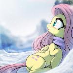 1:1 2017 cutie_mark equid equine feathered_wings feathers female feral fidzfox fluttershy_(mlp) friendship_is_magic hair hasbro hi_res long_hair mammal my_little_pony mythological_creature mythological_equine mythology nature outside pegasus pink_hair scarf sky snow solo wings winter