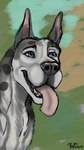 blue_eyes cropped_ears feral fur grey_body grey_fur happy smile white_body white_fur wolfywetfurr_(artist) canid canine canis domestic_dog great_dane mammal mastiff molosser 2024 hi_res