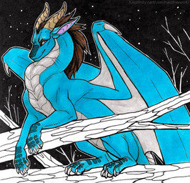 ambiguous_feral ambiguous_gender blue_body blue_eyes blue_wings brown_mane claws feral grey_body grey_wings horn long_neck looking_at_viewer mane membrane_(anatomy) membranous_wings mouth_closed night outside solo star tan_horn wing_claws wings heatherwolf mythology dragon mythological_creature mythological_scalie scalie hi_res