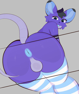 against_surface anthro anus ass_on_glass backsack balls butt clothing ear_piercing fur genitals glass jewelry legwear looking_at_viewer male on_glass pattern_clothing pattern_legwear pattern_thigh_highs piercing presenting presenting_hindquarters purple_body purple_fur solo striped_clothing striped_legwear striped_thigh_highs stripes tail thigh_highs kiyuuma kavii mammal mouse murid murine rodent hi_res