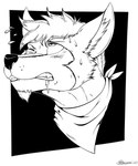 anthro blush blush_lines bodily_fluids clenched_teeth drooling ears_up facial_hair fangs fur goatee hair inner_ear_fluff male one_eye_closed saliva scarf solo sweat teeth tuft marcushunter marcus_hunter canid canine canis mammal wolf 2020 5:6 headshot_portrait monochrome portrait signature