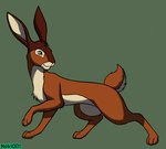 ambiguous_gender brown_body brown_eyes brown_fur feral fur green_background head_turned long_ears one_leg_up paws raised_leg short_tail simple_background smile solo standing tail noki001 watership_down hazel_(watership_down) lagomorph leporid mammal rabbit hi_res