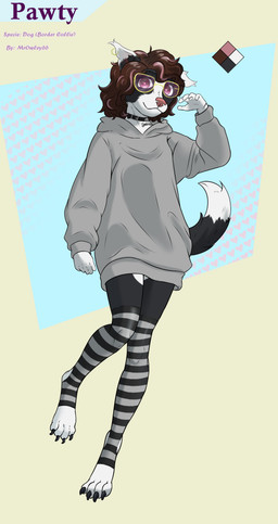 anthro black_clothing black_collar black_legwear black_stockings bone_collar_tag bottomless brown_hair clothed clothing collar collar_tag digitigrade ear_piercing ear_ring eyewear female fur gold_(metal) gold_ear_ring grey_clothing grey_hoodie grey_topwear hair happy hoodie legwear multicolored_body multicolored_fur multicolored_hair nude pattern_clothing pattern_legwear pattern_stockings piercing pink_eyes pink_nose ring_piercing solo standing stockings striped_clothing striped_legwear striped_stockings stripes tail text text_on_collar_tag topwear wearing_collar mrowley66 pawty border_collie canid canine canis collie domestic_dog herding_dog mammal pastoral_dog sheepdog absurd_res hi_res model_sheet