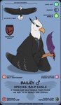 card feathers feet male solo standing talons text toes thathornycat capitoline_ranch bailey_(capitoline_ranch) accipitrid accipitriform avian bird eagle absurd_res colored english_text hi_res model_sheet sketch