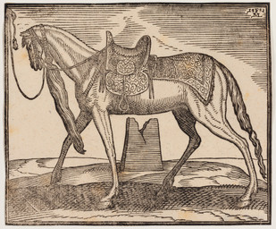 1582 ambiguous_feral ambiguous_gender bound detailed_background feral halter hooves leash mane outside quadruped saddle side_view solo standing stirrups tail tassels unguligrade melchior_lorck public_domain equid equine horse mammal 16th_century absurd_res ancient_art dated hatching_(art) hi_res monochrome shaded signature traditional_media_(artwork)