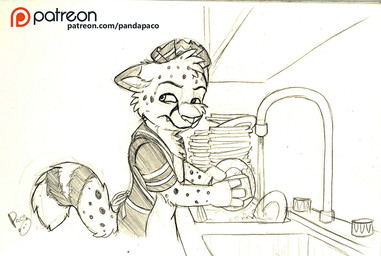 anthro apron cheek_tuft clothed clothing dipstick_ears ear_markings ears_back facial_spots facial_tuft hat head_tuft headgear headwear male male_anthro markings mouth_closed multicolored_ears narrowed_eyes pivoted_ears shirt side_view solo spots spotted_arms spotted_face spotted_markings spotted_tail standing striped_markings striped_tail stripes t-shirt tail tail_markings text topwear tuft washing_dishes water young young_anthro young_male pandapaco salmy cheetah felid feline mammal signature sketch spot_color url