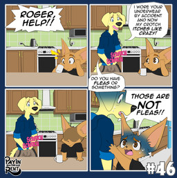 anthro duo humor kitchen male scratching sitting standing ariesartist bird_dog canid canine canis domestic_dog fennec_fox fox hunting_dog labrador mammal retriever true_fox comic hi_res