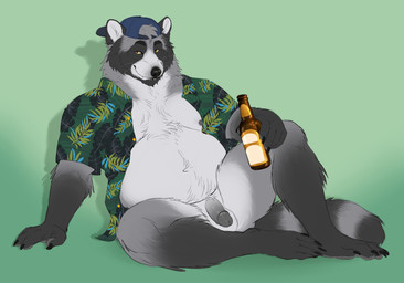 aloha_shirt anthro backwards_baseball_cap backwards_hat balls baseball_cap beard body_hair bottle bottomless bottomless_anthro bottomless_male chest_hair circumcised clothed clothing container countershade_balls countershade_crotch countershade_face countershade_genitalia countershade_torso countershading facial_hair facial_markings flaccid genitals gloves_(marking) hat head_markings headgear headwear holding_bottle holding_container holding_object humanoid_genitalia humanoid_penis leg_markings looking_at_viewer male male_anthro markings mask_(marking) neck_tuft nipples open_clothing open_shirt open_topwear overweight overweight_anthro overweight_male pattern_clothing pattern_shirt pattern_topwear penis pubes ring_(marking) ringed_tail shirt simple_background sitting smile socks_(marking) solo spread_legs spreading striped_markings striped_tail stripes tail tail_markings topwear tuft chubchow mammal procyonid raccoon 2025 absurd_res hi_res