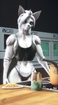 abs anthro blue_eyes clothing cooking female kitchen markings muscular muscular_anthro muscular_arms muscular_female navel panties red_eyes shirt solo tank_top topwear underwear ludexus sage_(ludexus) canid canine fox mammal 3d_(artwork) 4k 9:16 absurd_res digital_media_(artwork) hi_res source_filmmaker_(artwork)