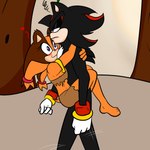 clinging duo female heart_eyes heart_symbol hug male male/female walking soulyagami64 sega sonic_boom sonic_the_hedgehog_(series) shadow_the_hedgehog sticks_the_jungle_badger badger eulipotyphlan hedgehog mammal mustelid musteline 1:1 hi_res