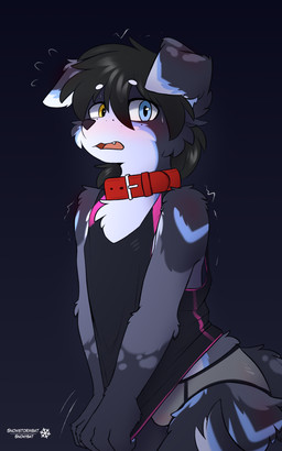 anthro blush bodily_fluids briefs clothing collar cute_fangs fangs gradient_background kemono male nervous shirt shy simple_background solo sweat tank_top teeth topwear underwear snowybark snowdrift_(snowstormbat) border_collie canid canine canis collie domestic_dog herding_dog mammal pastoral_dog sheepdog 5:8 absurd_res hi_res