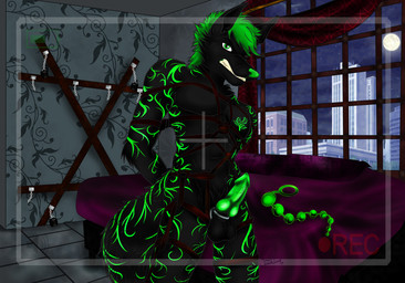 anal_beads anthro balls bdsm bed biped bondage bondage_furniture bound camera_view cuff_(restraint) curtains erection furniture genitals hair inside knot leather male moon night nude penis recording restraints rope rope_bondage rope_harness saint_andrew's_cross sex_toy shackles solo standing submissive town window dainoth arbor_fox_(owner) arbor_(arbor_fox) canid canine fox mammal