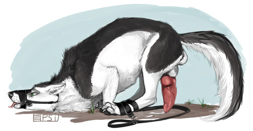 animal_genitalia animal_penis balls black_body black_fur bodily_fluids canine_genitalia canine_penis cum cum_on_ground erection feral fur genital_fluids genitals green_eyes knot knotted_penis leash male male_feral muzzle_(object) muzzled penis pink_penis sheath side_view solo tail teeth tongue tongue_out vein veiny_penis whisker_spots white_body white_fur i-psilone eyazen canid canine canis domestic_dog husky mammal nordic_sled_dog spitz 2016