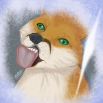 derp_eyes feral humor licking male silly solo tongue tongue_out thehuntingwolf bundadingy bundy canid canine canis dingo fox mammal 1:1 absurd_res hi_res icon meme