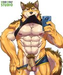 abs anthro balls cellphone circumcised clothed clothing countershading electronics flaccid genitals male mirror_selfie muscular muscular_anthro muscular_male nipples partially_clothed pecs penis phone pubes selfie shirt smartphone solo tank_top text topwear underwear underwear_down weedwolfeatmeat lifewonders live_a_hero barrel_(live_a_hero) canid canine canis mammal wolf english_text