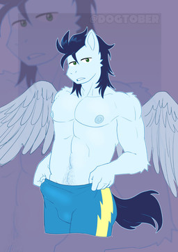 anthro clothing erection erection_under_clothing looking_at_viewer male pubes solo tenting wings dogtober friendship_is_magic hasbro my_little_pony mythology soarin_(mlp) wonderbolts_(mlp) equid equine mammal mythological_creature mythological_equine pegasus hi_res