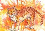 abstract_background ambiguous_gender brown_stripes countershading feral fur looking_at_viewer orange_body orange_fur solo standing stripes white_body white_countershading yellow_body yellow_eyes yellow_fur fuzzymaro felid mammal pantherine tiger orange_theme painting_(artwork) traditional_media_(artwork) watercolor_(artwork)