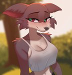 anthro black_eyes black_nose breasts cleavage clothed clothing evening female fur looking_at_another park shadow smile smiling_at_another solo standing sunset topwear wet wet_body white_clothing white_topwear glitter_galaxia beastars juno_(beastars) canid canine canis mammal wolf 2025 absurd_res colored digital_drawing_(artwork) digital_media_(artwork) hi_res watermark