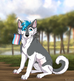 ambiguous_feral ambiguous_gender black_nose blue_eyes blue_hair blurred_background cheek_tuft facial_tuft feral flag_in_mouth fur glistening glistening_eyes grass grey_body grey_ears grey_fur grey_tail hair lgbt_pride neck_tuft outside plant pride_colors short_hair side_view sitting solo tail text transgender_pride_colors tree tuft whiskers white_body white_fur white_tail kodaac canid canine mammal artist_name hi_res