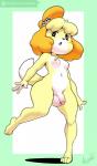 2017 4_toes absurd_res animal_crossing anthro argento balls barefoot biped breasts canid canine canis circumcised crossgender domestic_dog feet flaccid genitals gynomorph hair hi_res humanoid_genitalia humanoid_penis intersex isabelle_(animal_crossing) mammal navel nintendo nipples nude open_mouth penis shih_tzu small_breasts solo toes toy_dog