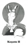 abs anthro big_muscles biped bottomwear canid canine canis chest_tuft circle clothed clothing coyote dipstick_tail erection front_view fur genitals greyscale hands_behind_head hi_res kneeling licking licking_lips licking_own_lips looking_at_viewer male mammal markings monochrome muscular muscular_anthro muscular_male open_bottomwear open_clothing open_pants pants penis self_lick simple_background solo tail tail_markings the_xoo tongue tongue_out topless torn_clothing tuft tygger white_background