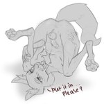 anthro anus butt femboy genitals male paws penis solo anchors_art_studio ych_(character) canid canine fox mammal 1:1 hi_res