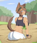 animal_ears big_breasts big_butt blue_eyes blue_sky blurred_background blush bottomwear breasts brown_hair butt clothing embarrassed female hair looking_back monster_girl_(genre) mud plant shorts sky solo tail tree wide_hips ace_of_bros monster_musume polt_(monster_musume) canid humanoid japanese_kobold mammal 2020 dated hi_res