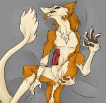 anus blood blue_eyes bodily_fluids butt claws erection feet genitals hindpaw looking_at_viewer lying male nude on_back paws penis presenting presenting_hindquarters scar solo southern spread_legs spreading tail alexandrew lovar mammal sergal