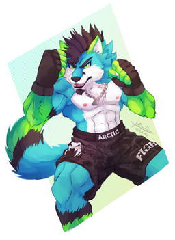 anthro athletic athletic_male black_bottomwear black_clothing black_shorts bottomwear chain_necklace clothed clothed_male clothing facial_hair fighting_pose fingerless_gloves gloves goatee green_eyes handwear jewelry male male_anthro necklace pose shorts solo tail text rina_tigressa arctic_the_fox canid canine fox mammal 2022 artist_name dated hi_res