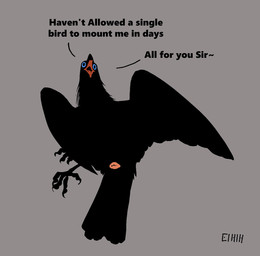 ambiguous_gender animal_genitalia beak black_body black_feathers blue_eyes claws cloaca feathers feral genitals open_mouth solo text tongue einin avian bird corvid oscine passerine 2026 aliasing digital_media_(artwork) english_text hi_res signature