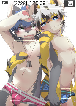 anthro arms_linked black_body black_fur black_hair black_markings blue_eyes blue_hair blush bulge camera_view cheek_tuft chest_tuft clothed clothing clothing_pull countershade_arms countershade_face countershade_legs countershade_torso countershading detailed_bulge duo facial_tuft fangs fur green_eyes grey_body grey_fur hair hand_on_head inner_ear_fluff jewelry kemono looking_at_viewer male markings multicolored_hair navel necklace open_mouth pose shota simple_background striped_markings striped_tail stripes tail tail_around_partner tail_markings teeth topless tuft two_tone_hair underwear underwear_only underwear_pull white_background white_body white_fur white_hair yellow_body yellow_fur young young_anthro meowolf222 canid canine canis mammal wolf 2021 digital_drawing_(artwork) digital_media_(artwork) hi_res portrait